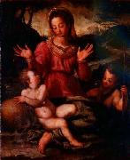 Andrea del Sarto Madonna and Child with St Spain oil painting artist